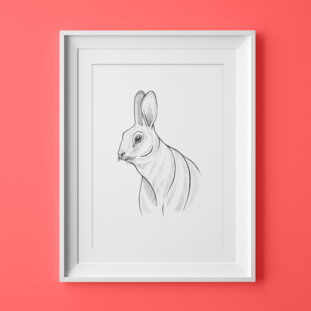 Rabbit Pencil Sketch 2 Stock Photo, Picture and Royalty Free Image. Image  47999077.