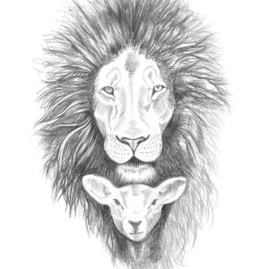 Lion And Lamb Drawing