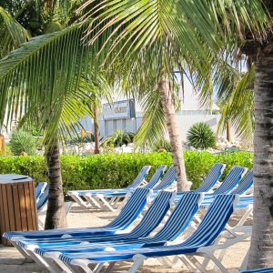 Nassau Bahamas Chairs Palm Trees Sept 
