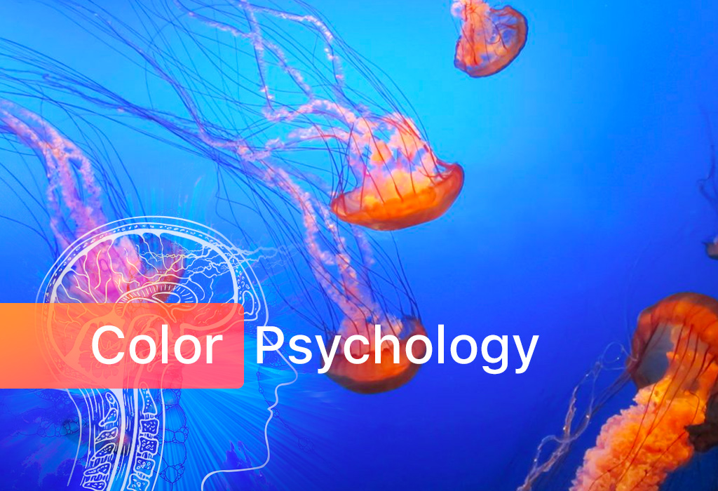 Color Psychology Jellyfish