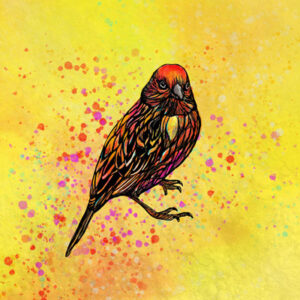 Finch Bird Digital Art Painting Brush Stroke Yellow