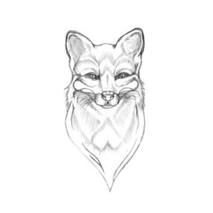 Fox Graphic Illustration Pencil Drawing