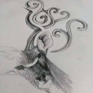 Kudu Drawing