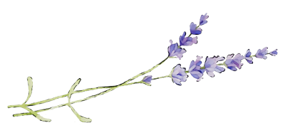 Lavender Sprig 