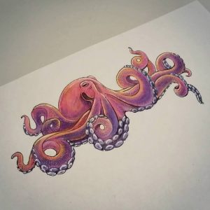 Octopus Drawing Colored Pencil