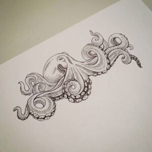 Octopus Graphic Illustration