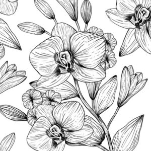 Orchid Ink Graphic Illustration