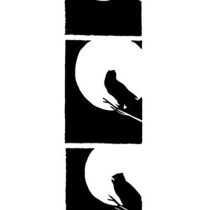 Owl Linocut Illustration Series 