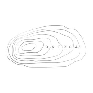 Oyster Line Logo Topographic
