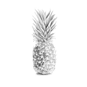 Pineapple Graphic Illustration Pencil Drawing