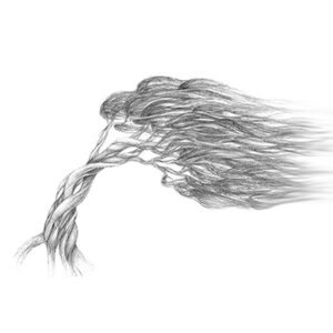 Tree Bent Blowing In Wind Graphic Illustration Pencil Drawing