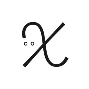 X Letter Logo Wave